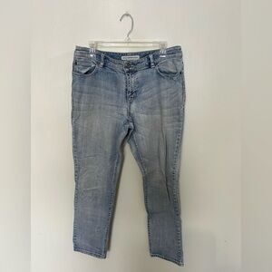 CHICO’S | Light Wash Platinum Denim, Size 1 Short